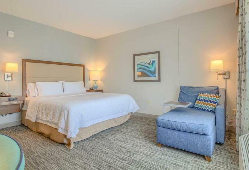 장애인을 위한 킹사이즈 침대 스탠다드 룸, Hampton Inn Gulf Shores