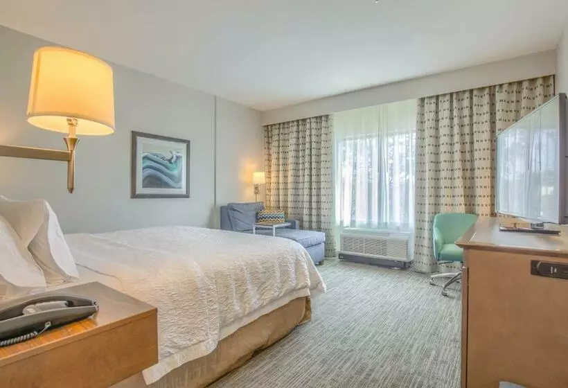 キングサイズベッドのスタンダードルーム, Hampton Inn Gulf Shores