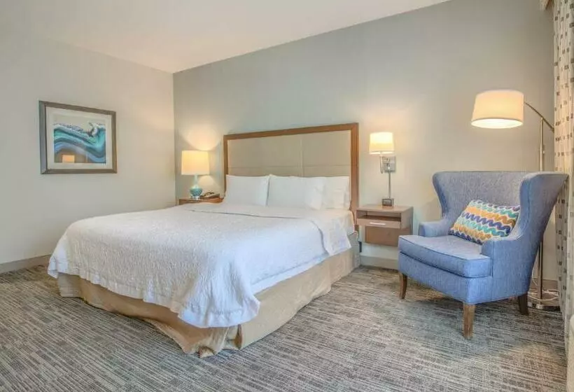 身障者適用キングサイズベッドルーム, Hampton Inn Gulf Shores