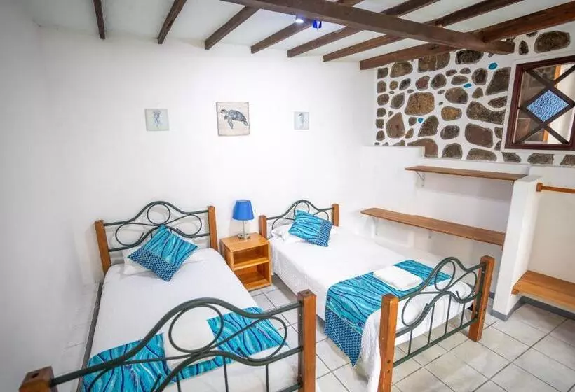 ファミリールーム, Maidith Galapagos Inn