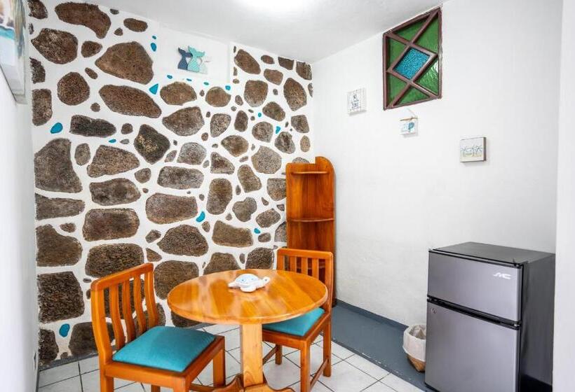 اتاق خانوادگی, Maidith Galapagos Inn