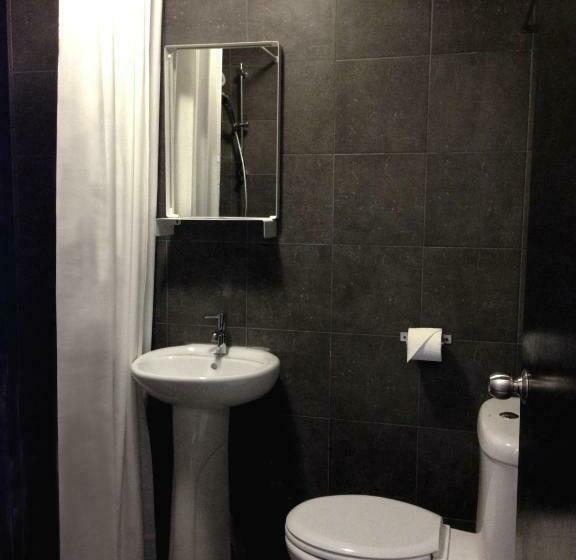 スタンダードルーム, Tulip