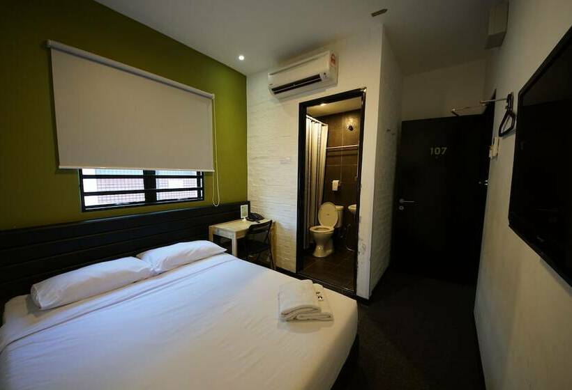 スタンダードルーム, Tulip