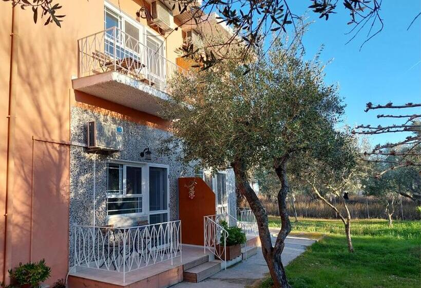 Studio Standard Vue Jardin, Sand And Sea