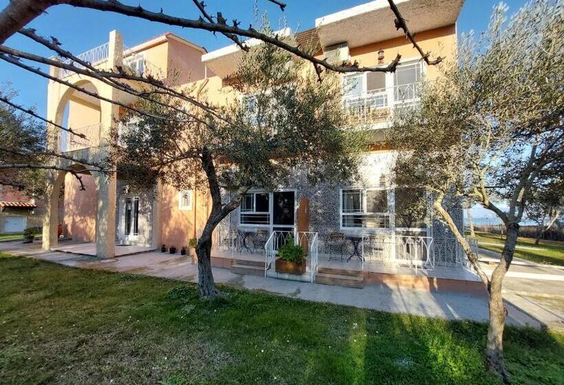 Studio Standard Vue Jardin, Sand And Sea