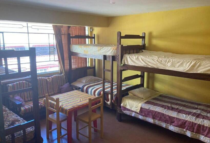 מיטה בחדר משותף, Cayesh Guest House