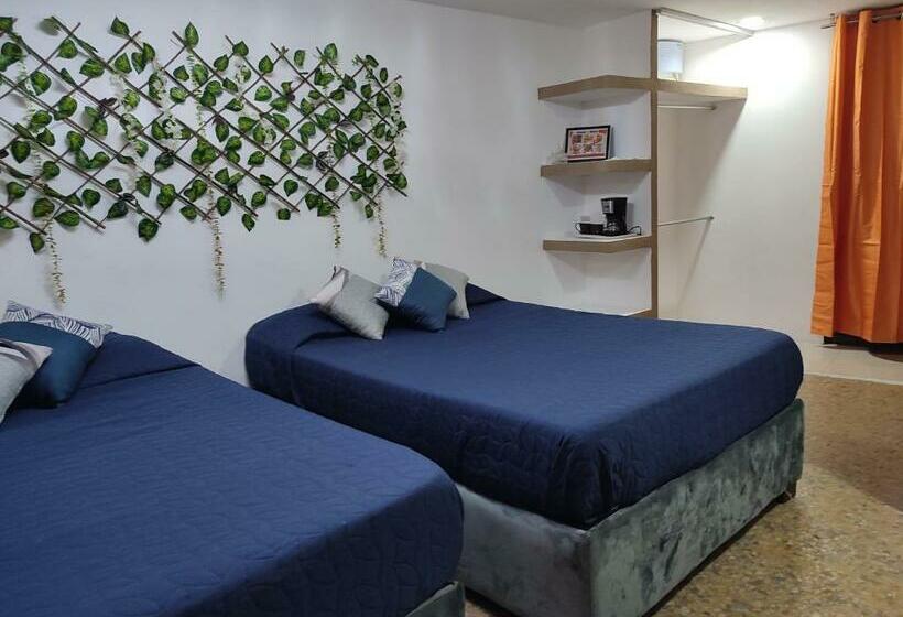 Полулюкс Повышенной Комфортности, Hostal Vitta