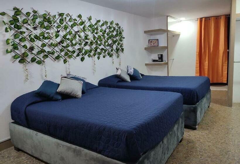 Полулюкс Повышенной Комфортности, Hostal Vitta