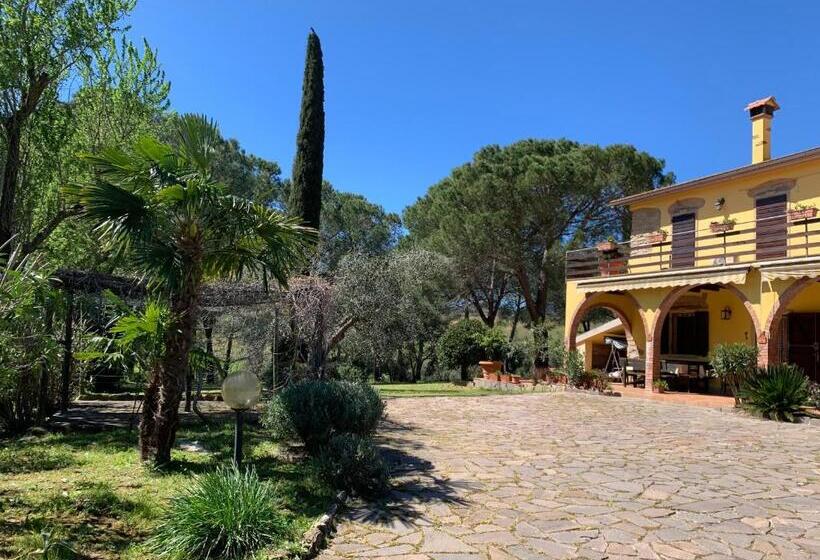 חדר סטנדרט עם טרסה, Affittacamere La Crognoleta