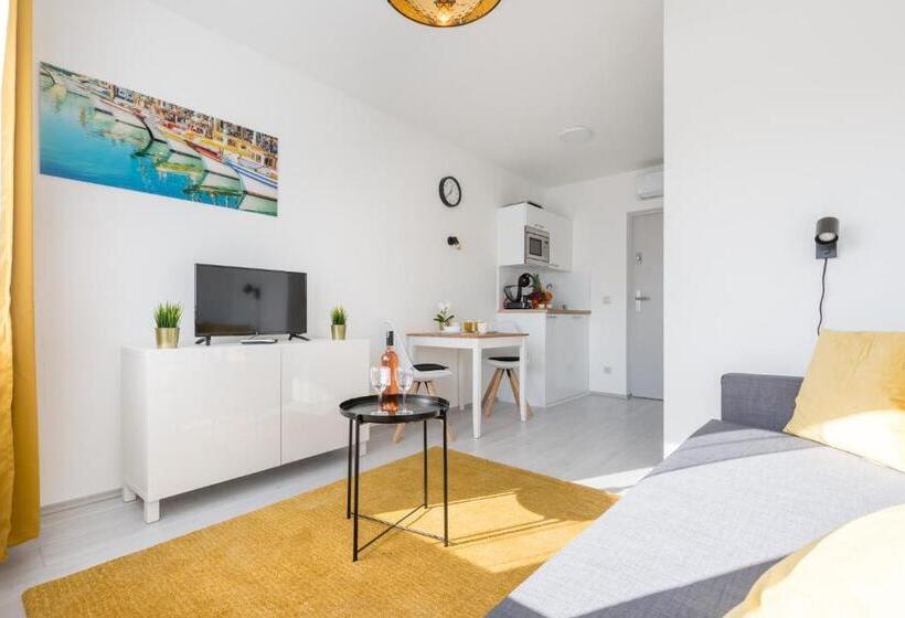 스탠다드 스튜디오, Pauzo Balaton