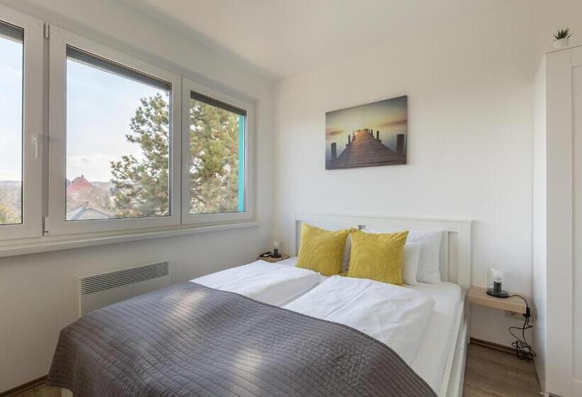 스탠다드 스튜디오, Pauzo Balaton