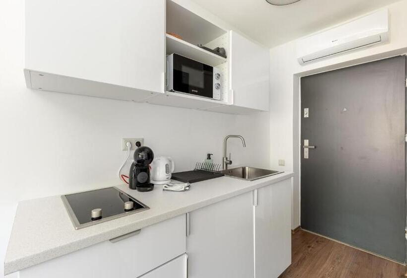 스탠다드 스튜디오, Pauzo Balaton