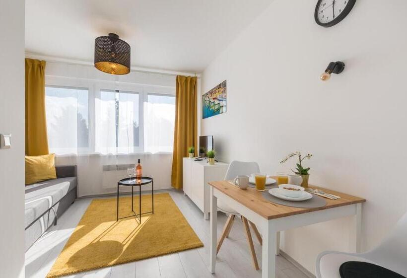 스탠다드 스튜디오, Pauzo Balaton