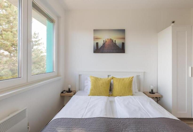 스탠다드 스튜디오, Pauzo Balaton