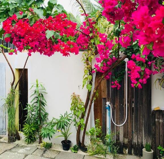 اتاق استاندارد سه نفره, Jerrys Dive Lodge Rasdhoo