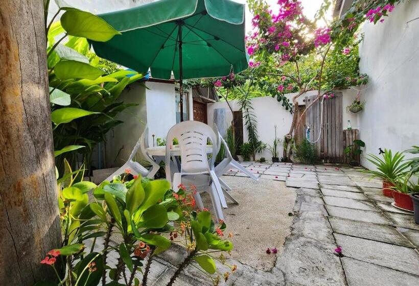 اتاق استاندارد سه نفره, Jerrys Dive Lodge Rasdhoo