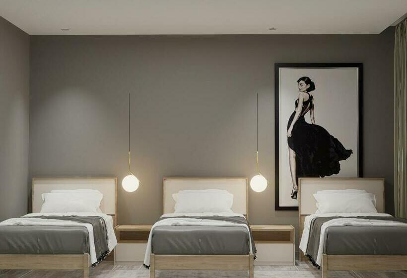 חדר קומפורט לשלושה, Split Rooftop Suites