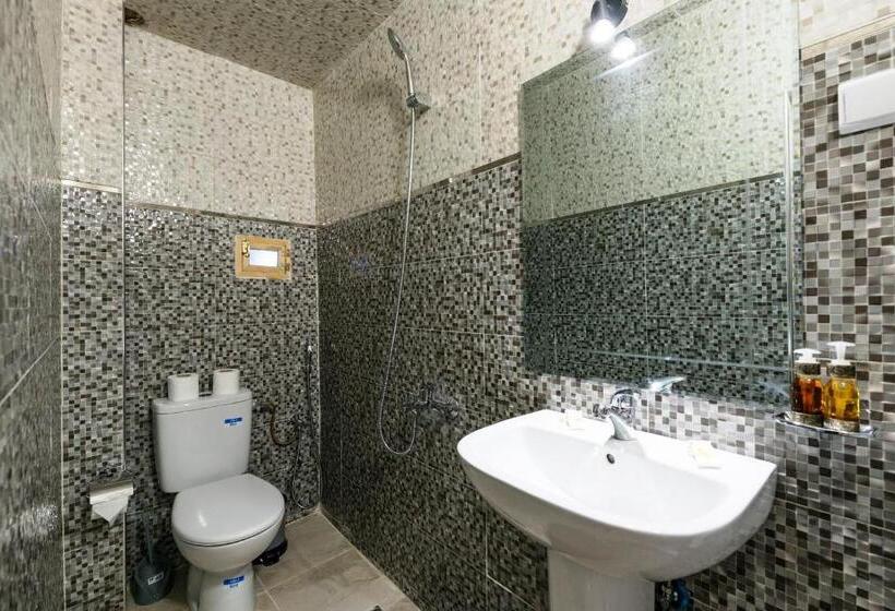 اتاق سوپریور, Riad Amr