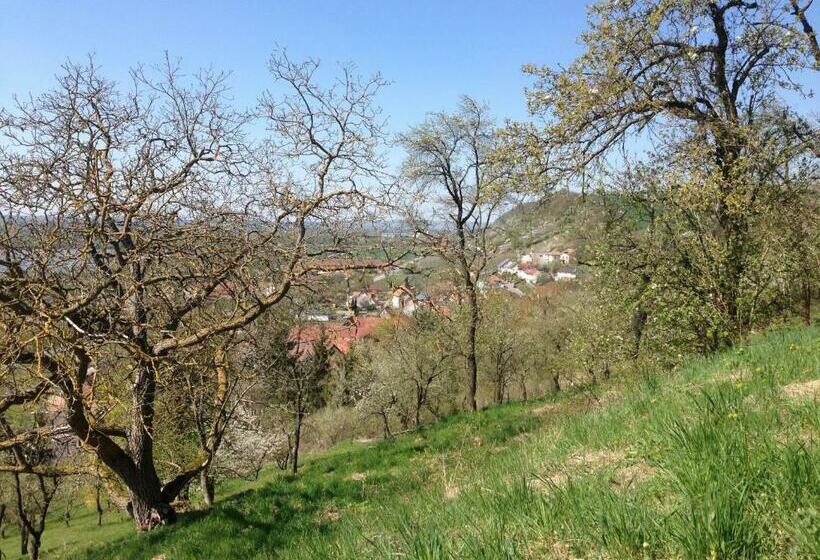 Номер Стандарт, Alte Rose Gasthaus