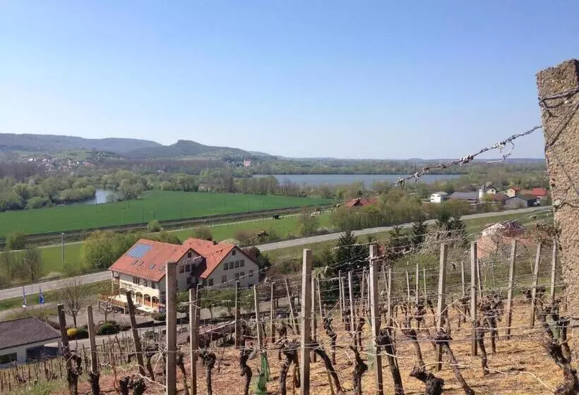 اتاق استاندارد یک نفره, Alte Rose Gasthaus