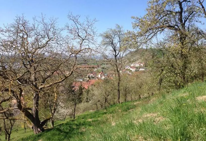 اتاق استاندارد چهار تخته, Alte Rose Gasthaus