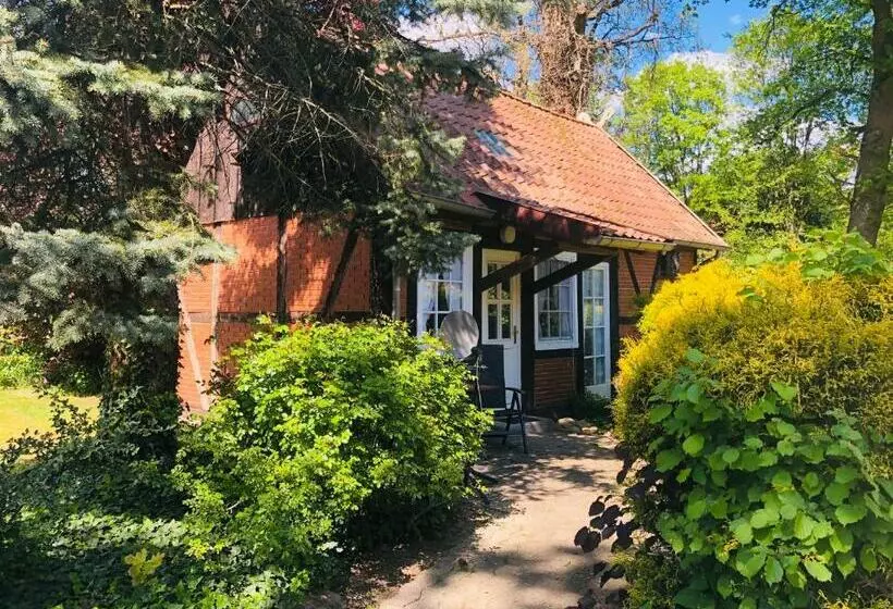 スタンダードルーム, Landhotel Gutshof Im Oertzetal In Oldendorf, Südheide