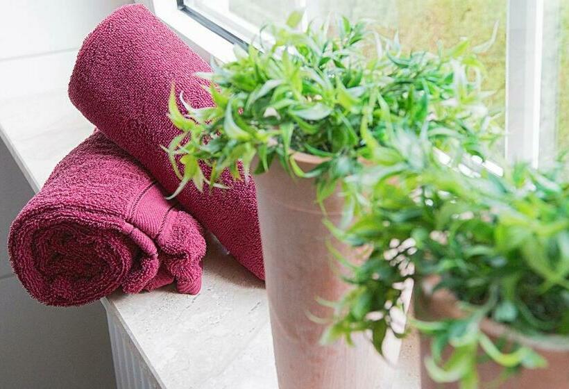 스탠다드 싱글 룸, Haus Anna An Der Stadtmauer