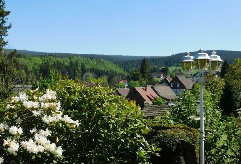 Номер Стандарт с Террасой, Pension Haus Petra