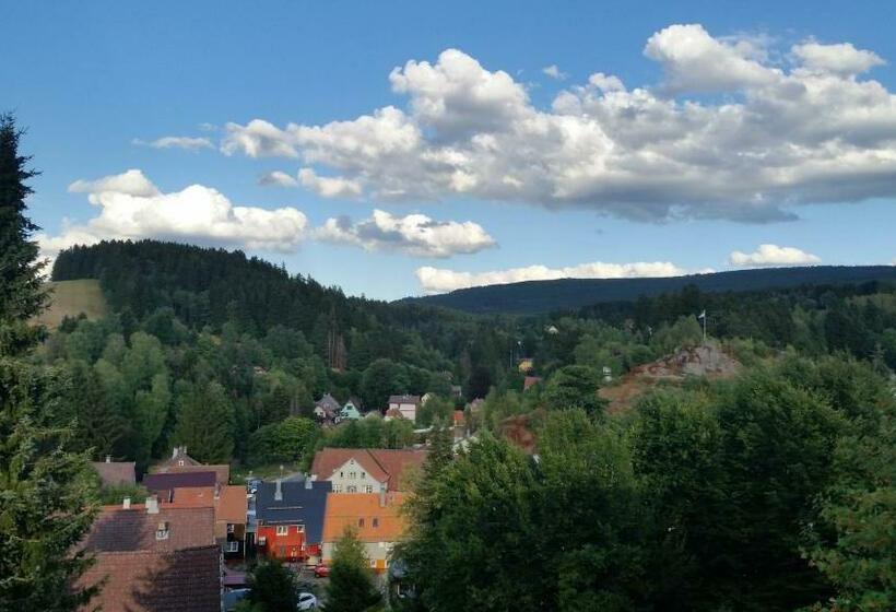 غرفة قياسية مزوَّدة بشُرفة, Pension Haus Petra