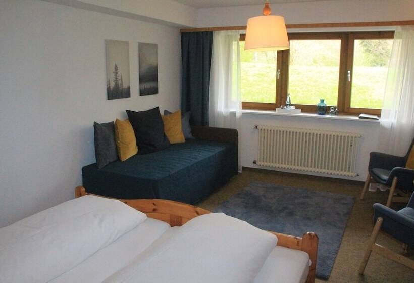 Номер Economy, Imbery Hotel & Restaurant Hinterzarten