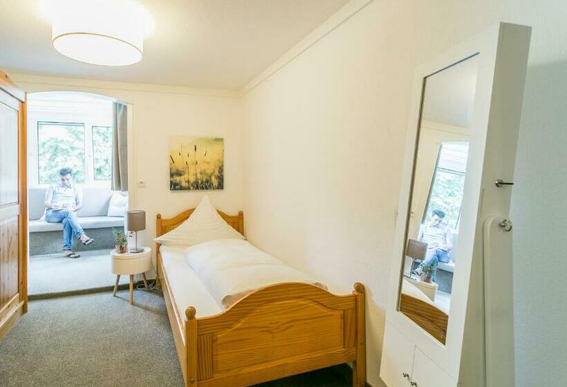 Индивидуальный Номер Классика, Imbery Hotel & Restaurant Hinterzarten