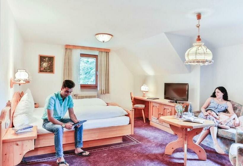컴포트 룸, Imbery Hotel & Restaurant Hinterzarten