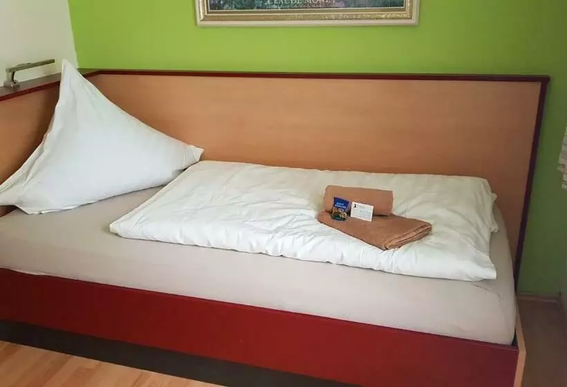 スタンダードシングルルーム, Landhotel & Gasthaus Altenburg