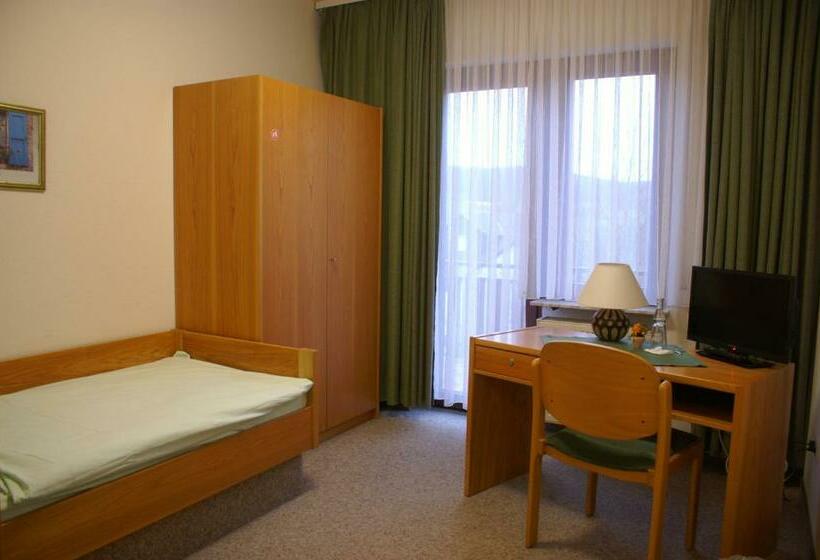 Номер Стандарт Индивидуальный, Landhotel & Gasthaus Altenburg
