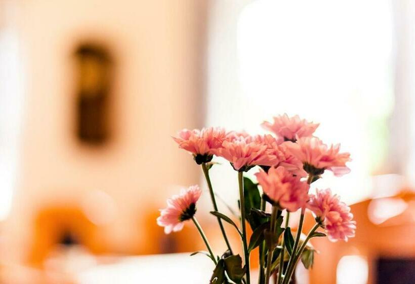 غرفة إقتصادية, Meyers Hofcafe