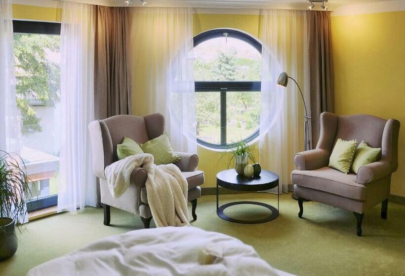 Habitació Estàndard amb Terrassa, Rosendomizil