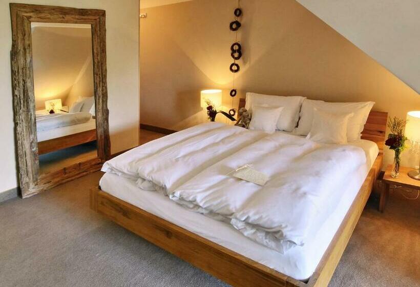 Habitació Estàndard amb Terrassa, Rosendomizil