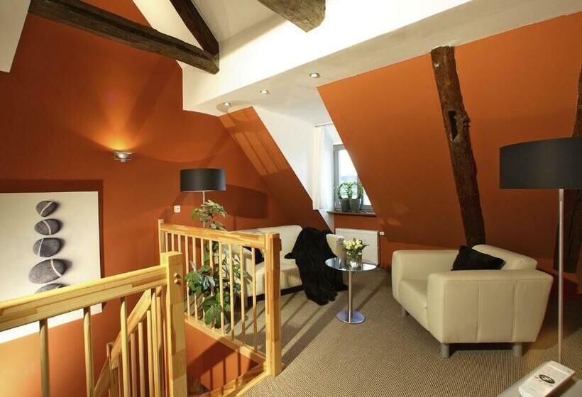 Habitació Estàndard, Rosendomizil