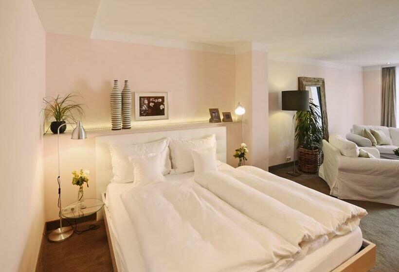 Habitació Estàndard amb Terrassa, Rosendomizil