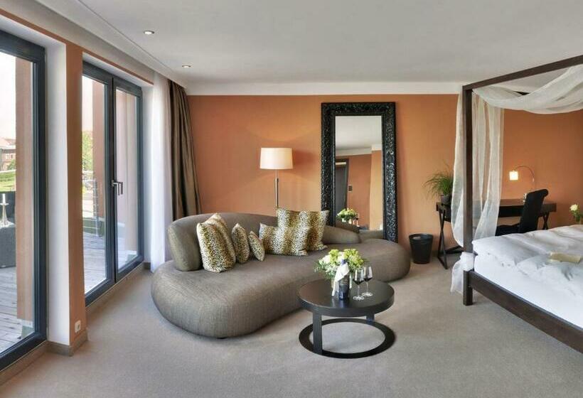 Habitació Estàndard amb Terrassa, Rosendomizil