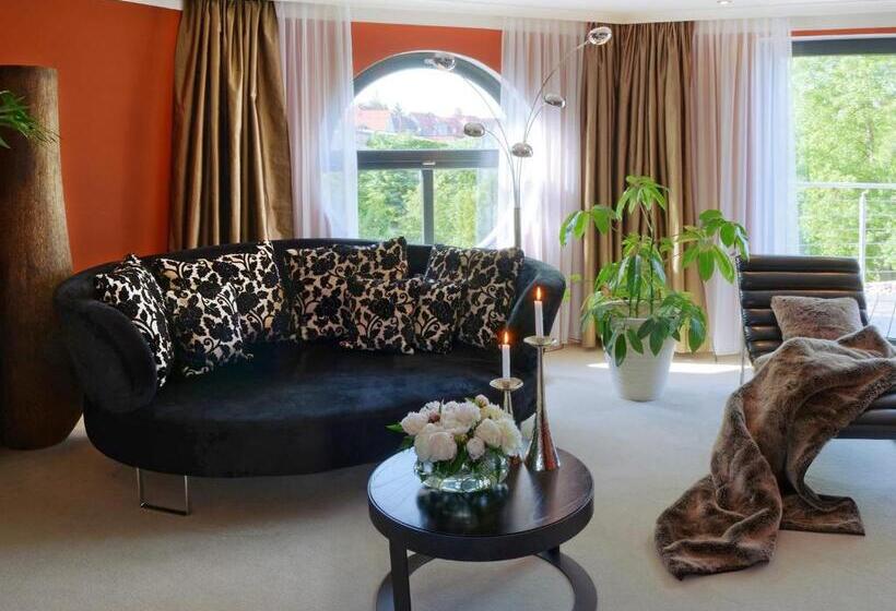 Habitació Estàndard amb Terrassa, Rosendomizil