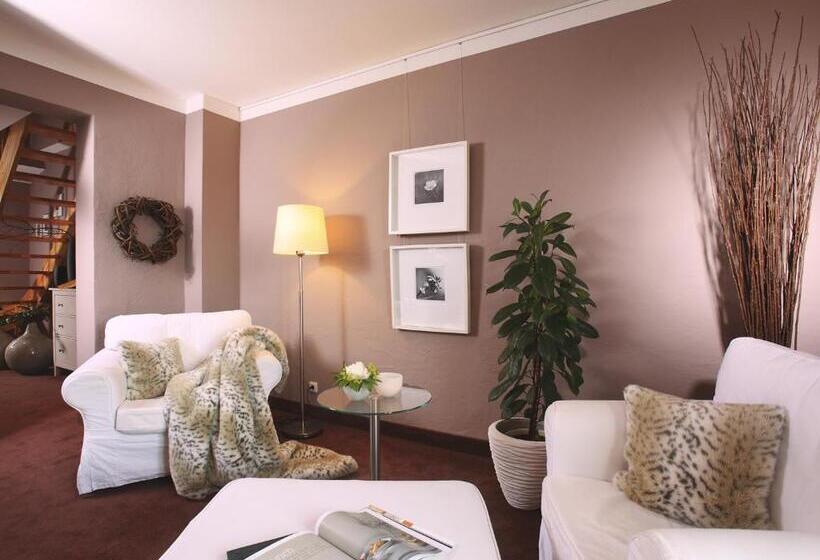 Habitació Estàndard amb Terrassa, Rosendomizil