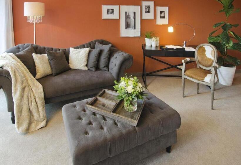 Habitació Estàndard amb Terrassa, Rosendomizil