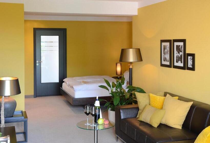 Habitació Estàndard amb Terrassa, Rosendomizil