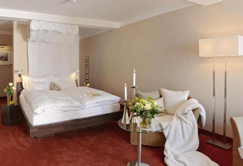 Habitació Estàndard amb Terrassa, Rosendomizil