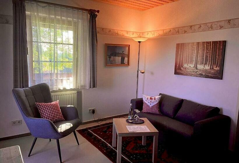 غرفة قياسية, Solhof Schömberg