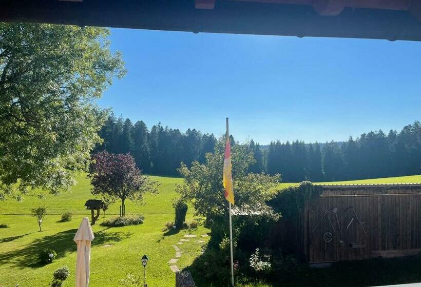 غرفة قياسية, Solhof Schömberg