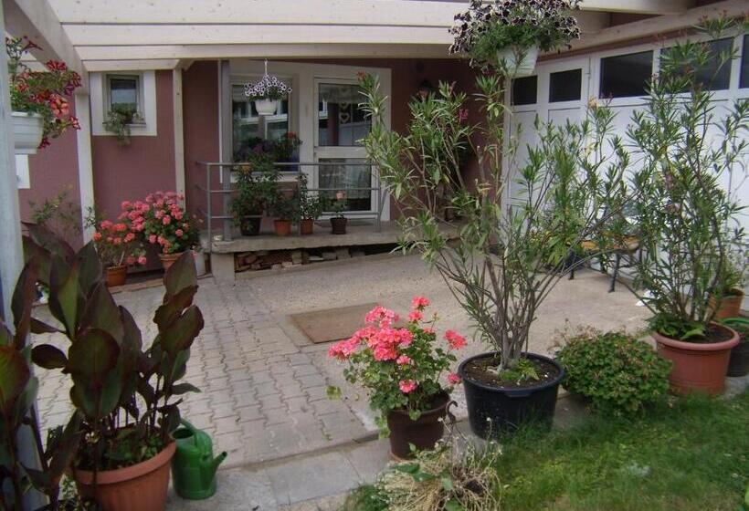 Номер Стандарт, Daschner Gmbh