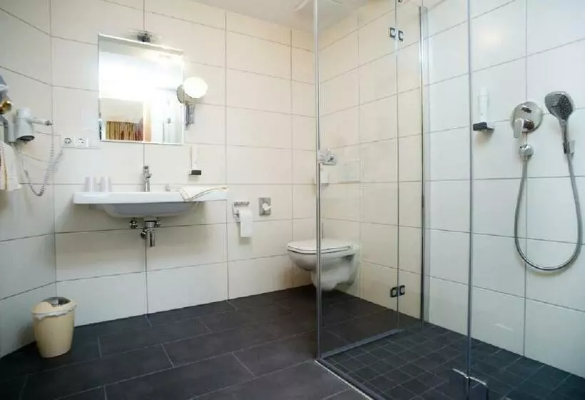 اتاق سوپریور یک تخته, Landhotel Kuralpe Kreuzhof