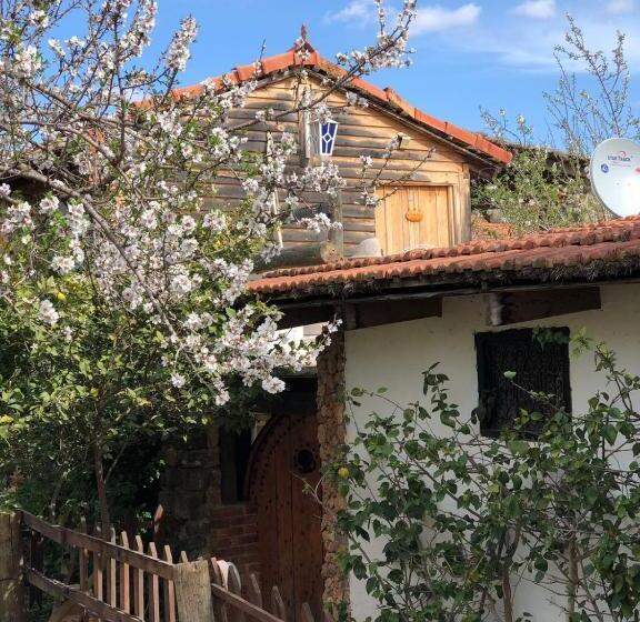 스탠다드 룸, Dar Zaghouan